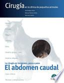 Libro Al abdomen caudal/ The Abundant Abdomen
