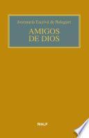 Libro Amigos de Dios (bolsillo, rústica, color)