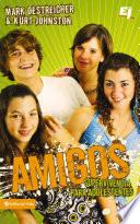 Libro Amigos