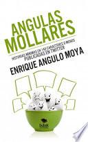Libro Angulas Mollares. Historias mínimas en 140 caracteres publicados o menos publicadas en Twitter