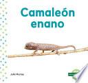 Libro Camaleón enano (Leaf Chameleon)