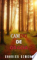 Libro Camino De Gracia