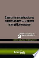 Libro Casos de concentraciones empresariales en el sector energético europeo