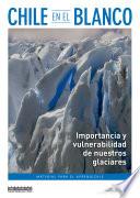 Libro Chile en el blanco