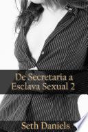 Libro De Secretaria a Esclava Sexual 2