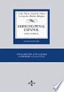 Libro Derecho Penal español