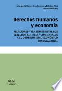 Libro Derechos humanos y economía