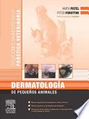 Libro Dermatología de pequeños animales