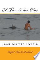 Libro El Tao de Las Olas: Juan Martin Delfin