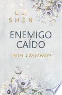 Libro Enemigo caído