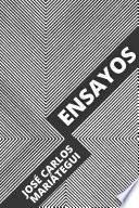 Libro Ensayos