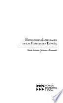 Libro Estrategias laborales de las familias en España