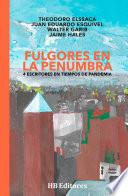 Libro Fulgores en la penumbra