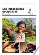 Libro Geographical Indications