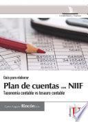 Libro Guía para elaborar plan de cuentas con NIIF