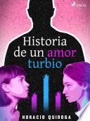 Libro Historia de un amor turbio