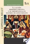Libro La acción merodeclarativa y su importancia en materia de concubinato