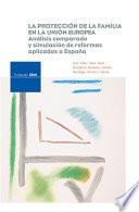 Libro La protección de la familia en la Unión Europea