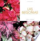 Libro LAS BEGONIAS