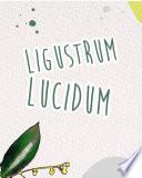 Libro LIGUSTRUM LUCIDUM