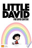Libro Little David
