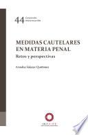 Libro Medidas cautelares en materia penal