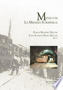 Libro METALLUM