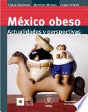 Libro México obeso