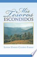 Libro MIS TESOROS ESCONDIDOS