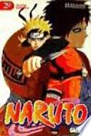 Libro Naruto 29