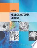 Libro Neuroanatomia Clinica: Edicion Revisada