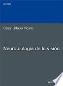 Libro Neurobiología de la visión