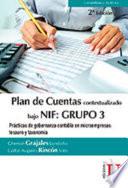 Libro Plan de Cuentas bajo NIF: Grupo 3