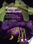 Libro Plantas vasculares