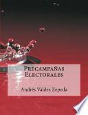 Libro Precampaas Electorales