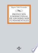 Libro Protección jurisdiccional de los Derechos Fundamentales