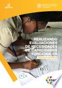 Libro Realizando evaluaciones de necesidades de capacidades funcionales