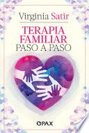 Libro Terapia familiar paso a paso