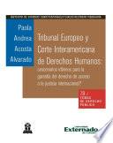 Libro Tribunal Europeo y Corte Interamericana de Derechos Humanos: ¿escenarios idóneos para la garantía del derecho de acceso a la justicia internacional?