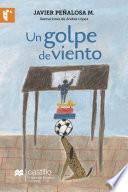 Libro Un golpe de viento