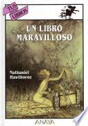 Libro Un libro maravilloso