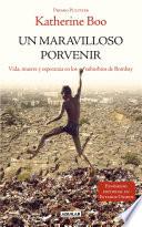 Libro Un maravilloso porvenir