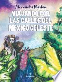 Libro Viajando por las calles del México celeste