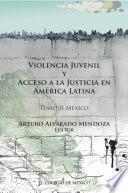 Libro Violencia juvenil y acceso a la justicia.