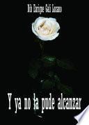 Libro Y ya no la pude alcanzar